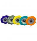Compas de relvement Iris 50